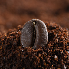 Coffee export