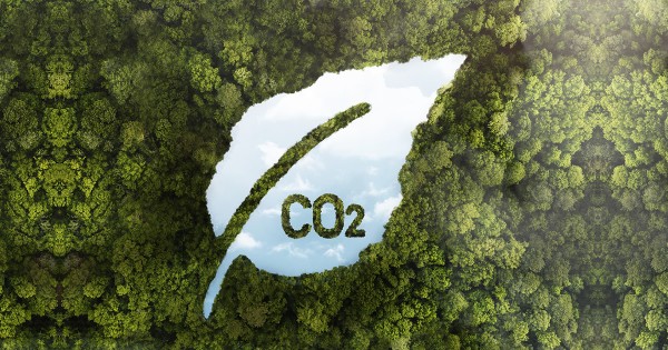 Low Carbon Roasting Model