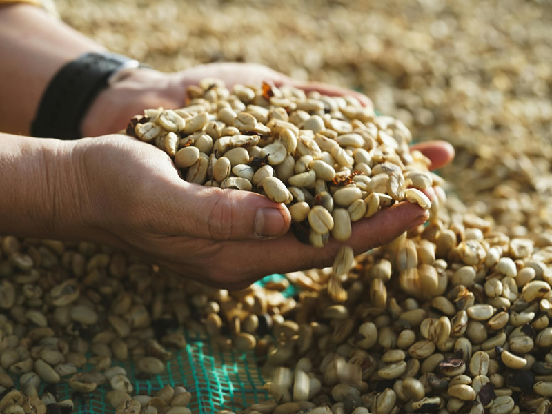 Coffee advantages for chains