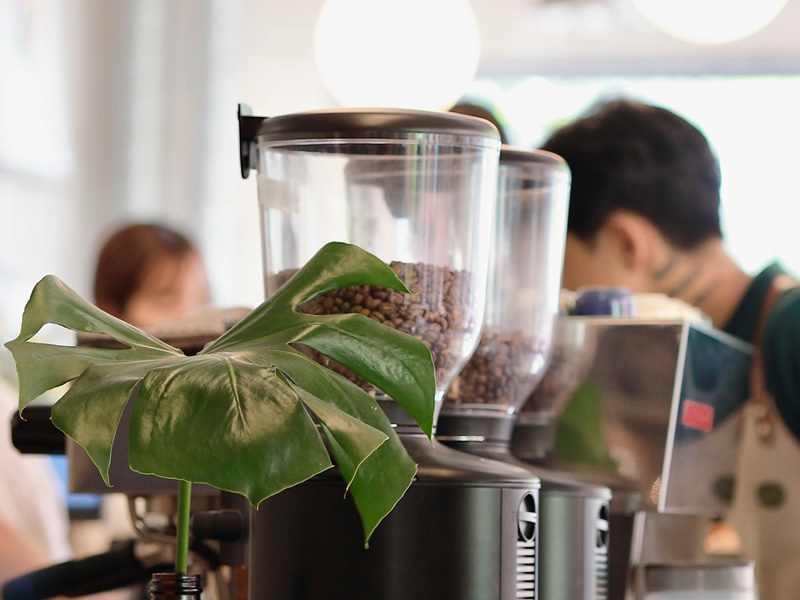 Office coffee operation