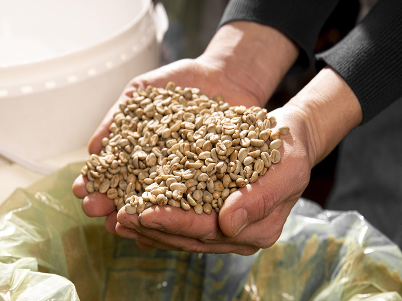Wholesale coffee supply